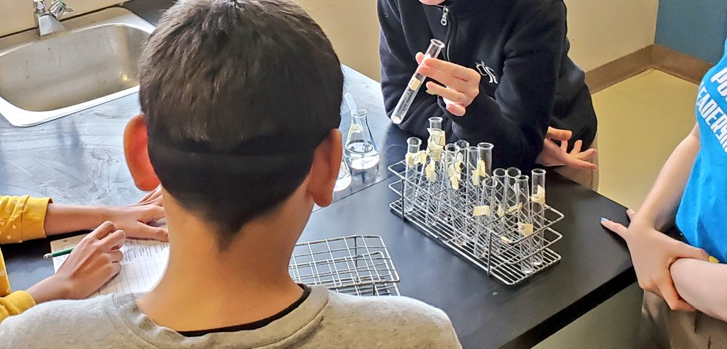 DPCDSBpowerMEup's tweet photo. Science workshop led by students @piratespocock1 for elementary students @DPCDSBpowerMEup #dppowermeup #dpguidance https://t.co/RKEKF2RDdV