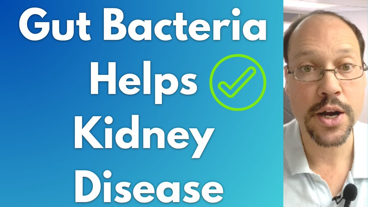 KidneyRestore's tweet image. Gut Health and Kidney Disease | The Benefits of Prebiotics &amp;amp; Probiotics
ow.ly/sZE350NLXLl
