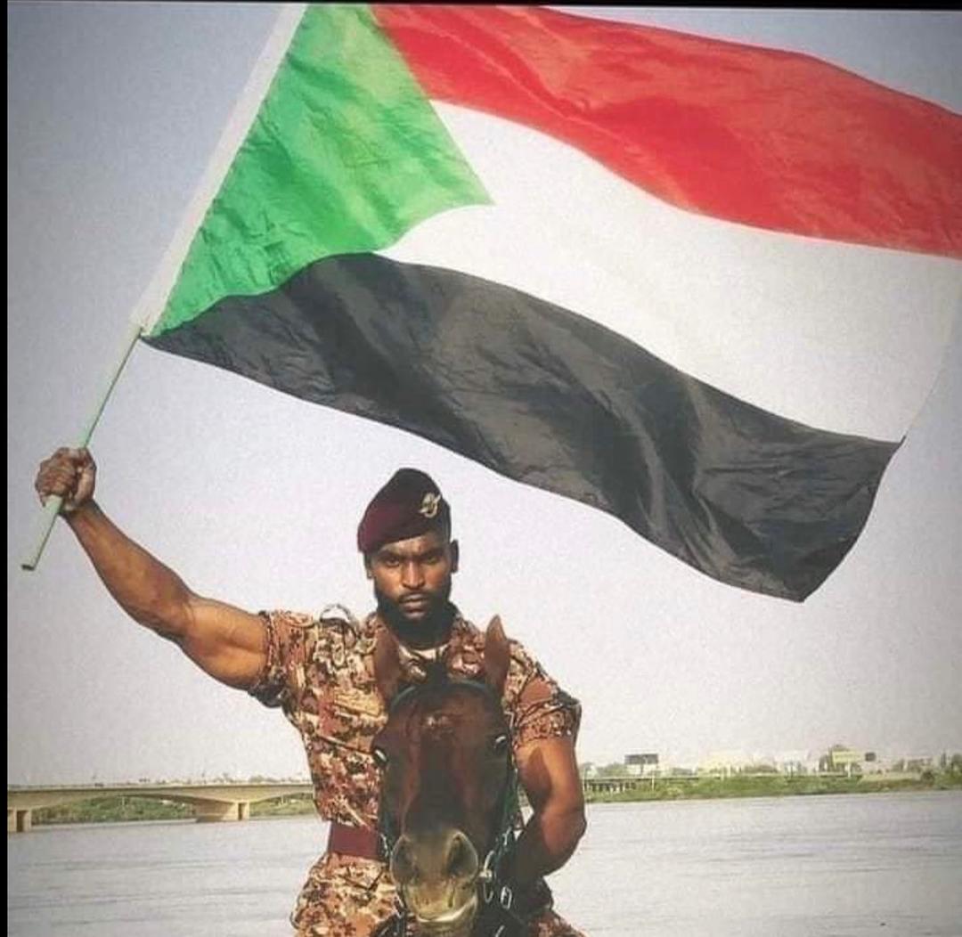 الطاهر حسن التوم tweet media