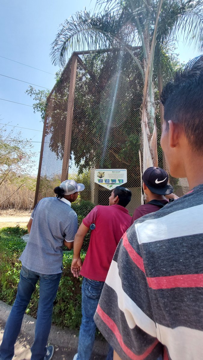 Este evento es parte del programa #InclusiónDigna, ejecutado con financiamiento compartido de <a href="/UEenMexico/">Unión Europea en México 🇪🇺🇲🇽</a>  y la alianza de <a href="/FondazioneAVSI/">Fondazione AVSI</a> , <a href="/AvsiMexico/">AVSI México</a>  y #FM4PasoLibre.