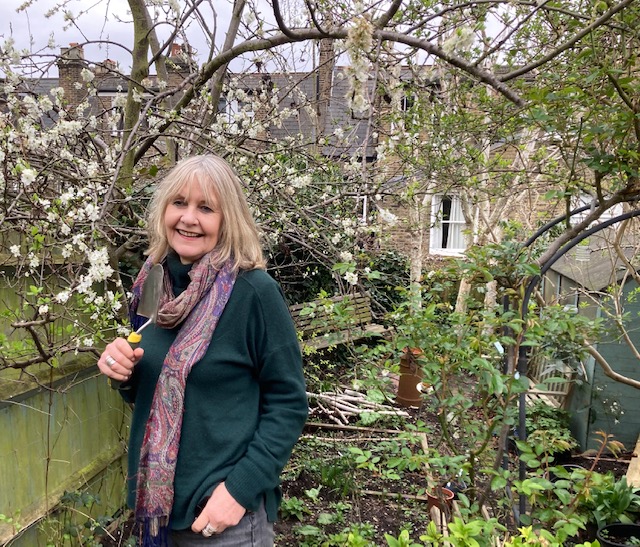 Enjoy great wildlife gardening tips in this #islingtonfaces interview with Dorothy Boswell, also an @islingtoninbloom judge islingtonfacesblog.com/2023/04/18/dor…