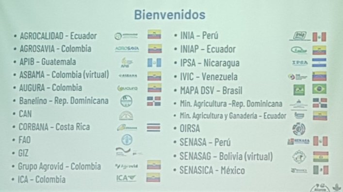 WJCuellar's tweet photo. Enfermedades emergentes como #Fusarium R4T requieren una estrategia regional. Esta semana en @BiovIntCIAT_esp se reunen representantes de 🇨🇴🇵🇪🇨🇺🇪🇨🇻🇪🇲🇽🇳🇮🇧🇷 y 🇧🇴 para actualizar sobre la situación de la enfermedad en las Américas
#FocTR4 #PlantHealth
@DitaMiguel @JorgeElicerVarg https://t.co/VZ3gHa5XT0