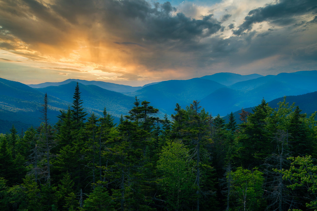 nixter's tweet photo. wilderness never lets me down, my new picture on #Flickr https://t.co/fXZy3K2lw9 #Photography https://t.co/m6Grycdrek