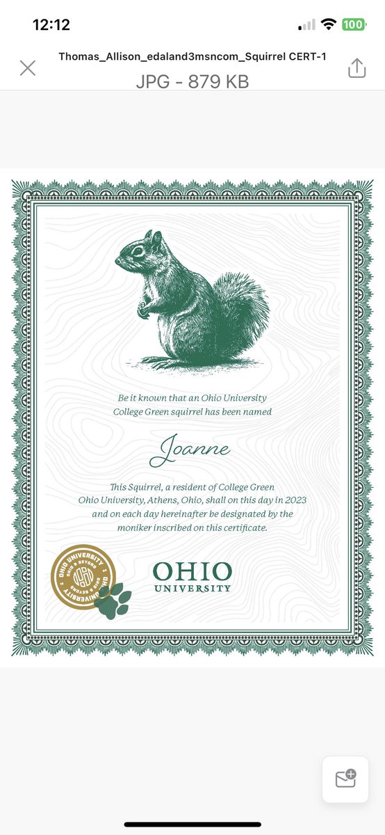 BroadwayAllison's tweet photo. It’s #OHIOgivingday 💚
Did I just name a college green squirrel?! Yes, yes I did.
You can too: https://t.co/QFyNjI4MZy
#oubobcats https://t.co/mktdvdR6DL