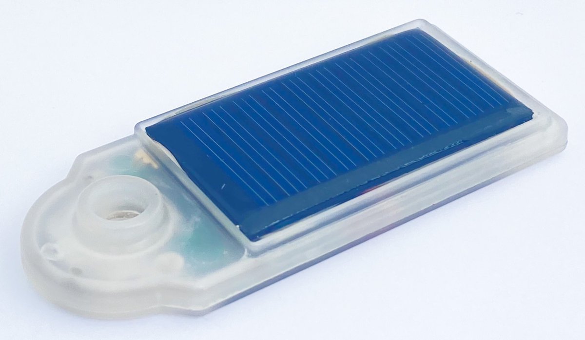 Zoltan Erdei tweet media