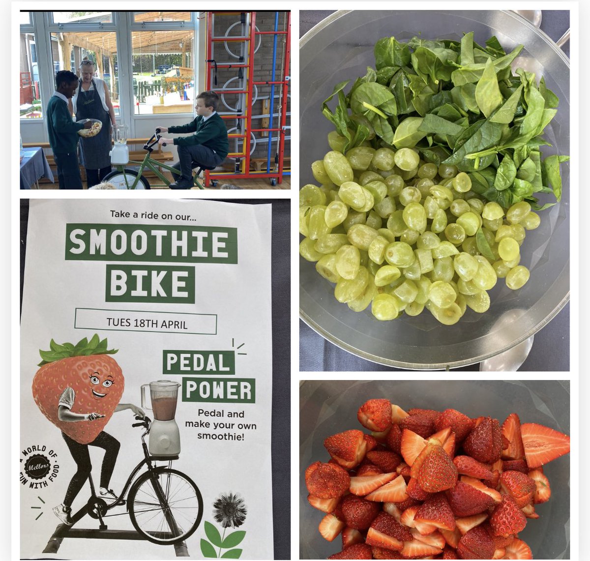 The children at Berkswich have really enjoyed our smoothie bike today guess the favourite?…….
Yes grape and spinach 🫣recipes taken home to try !!
<a href="/mellorscatering/">Mellors Catering Services</a>  <a href="/DBNutrition_/">Danielle Watkins BSc (Hons) RPHNtr</a>  <a href="/GrahamAshfield/">Graham Ashfield</a>