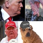 1 senior #racist #Antisemitic #senile swindler #grifting #dementia #genocidal #dotard to have consistently caused elevated #cortisol levels worldwide for the last decade;outrageous! WTF #JackSmith y #AlvinBragg lock him the fuct up!#Trump w/a turkey neck(he's #obese)&amp; as #Sharpei 