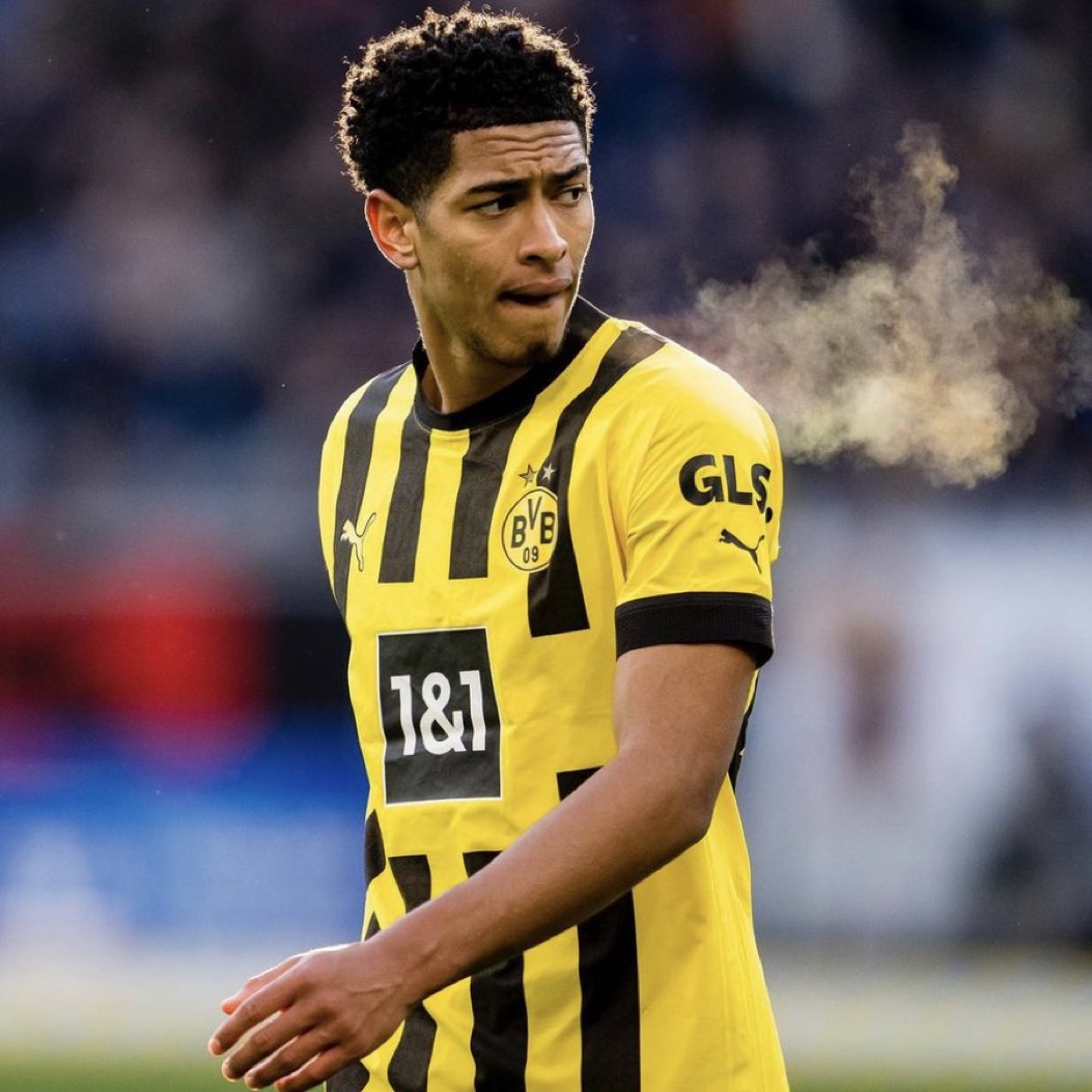 Madrid Zone tweet media