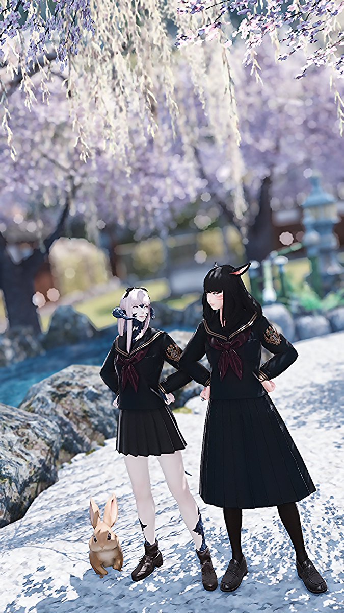SomSom_72's tweet photo. #GPOSERS | #FF14SS | #FF14 | #miqote | #ミコッテ | #おはミコ| #merpic | #SD_Ali | @stelliexiv https://t.co/Bd9gkMdarQ