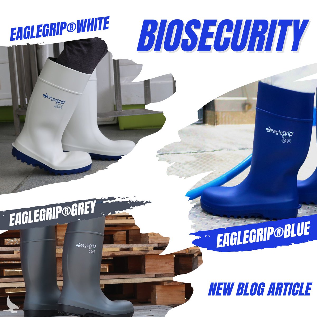 DikamarSA's tweet photo. Biosecurity, safety and security are crucial aspects of the food processing industry.

But how should you keep your local work safe?

Read our new blog article and know why the EagleGrip® White, Blue and Grey are the recommendations of Dikamar®.

https://t.co/7NNG0B1AXY https://t.co/pkVclZTtJf