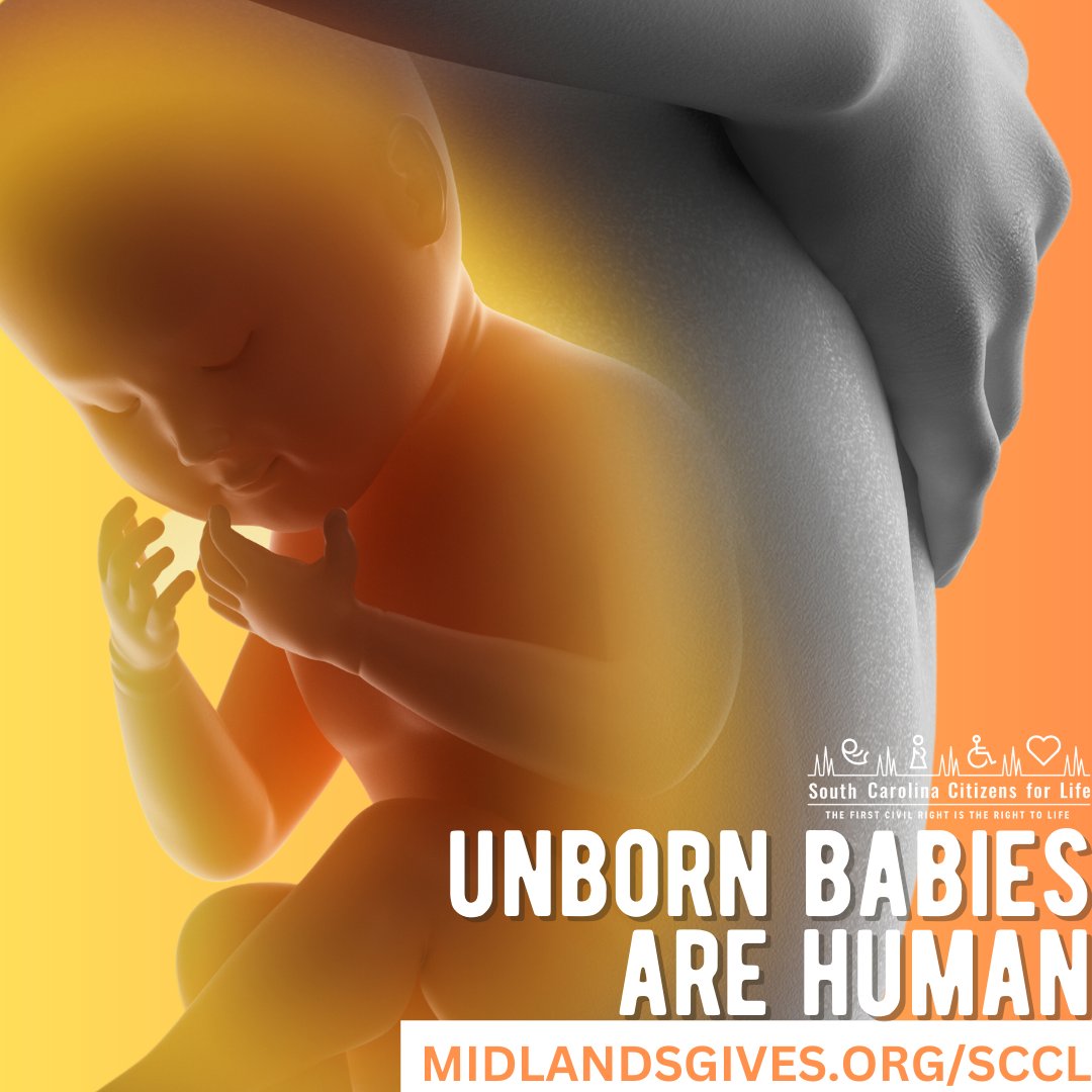 🤟 UNBORN BABIES ARE HUMAN, JUST SMALLER! 🤗

➡️Double Your Donation Here: midlandsgives.org/fundraise/1949…

Thank you! 🙏

#life4sc
#midlandsgives
#savethebabiessc