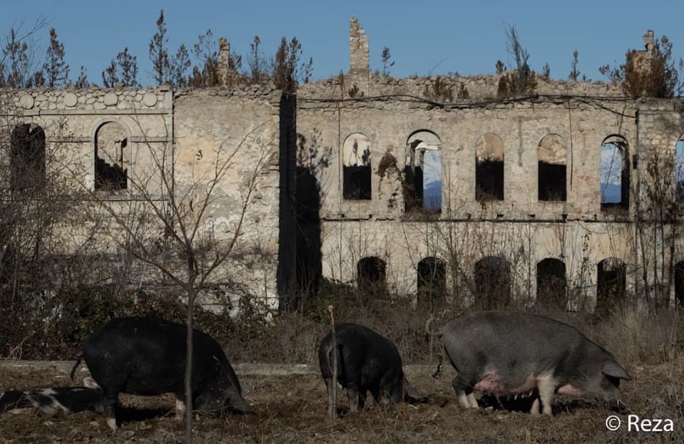 AzDelUnesco's tweet photo. 2/3 in #Karabakh during its occupation by Armenia & in the cities of #Iravan, especially famous #Tapabashi quartier, #Gafan, #Goycha, #Vedi from where Azerbaijani population was forcefully expelled by #Armenia. https://t.co/hoCbQpPflx