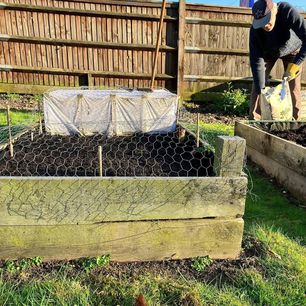 onebrowncow's tweet photo. Making a start with topping up and planting the raised veg beds.  Using fleece to keep any late frosts at bay and wire netting to stop the birds helping themselves!!

Lettuce, radishes, spring onion and broad bean seeds sewn and strawberry plants potted … https://t.co/SVPVWRd7Y4 https://t.co/pHEnRCyDWN
