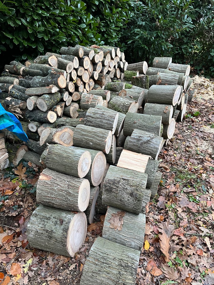 wim vanhoof tweet media