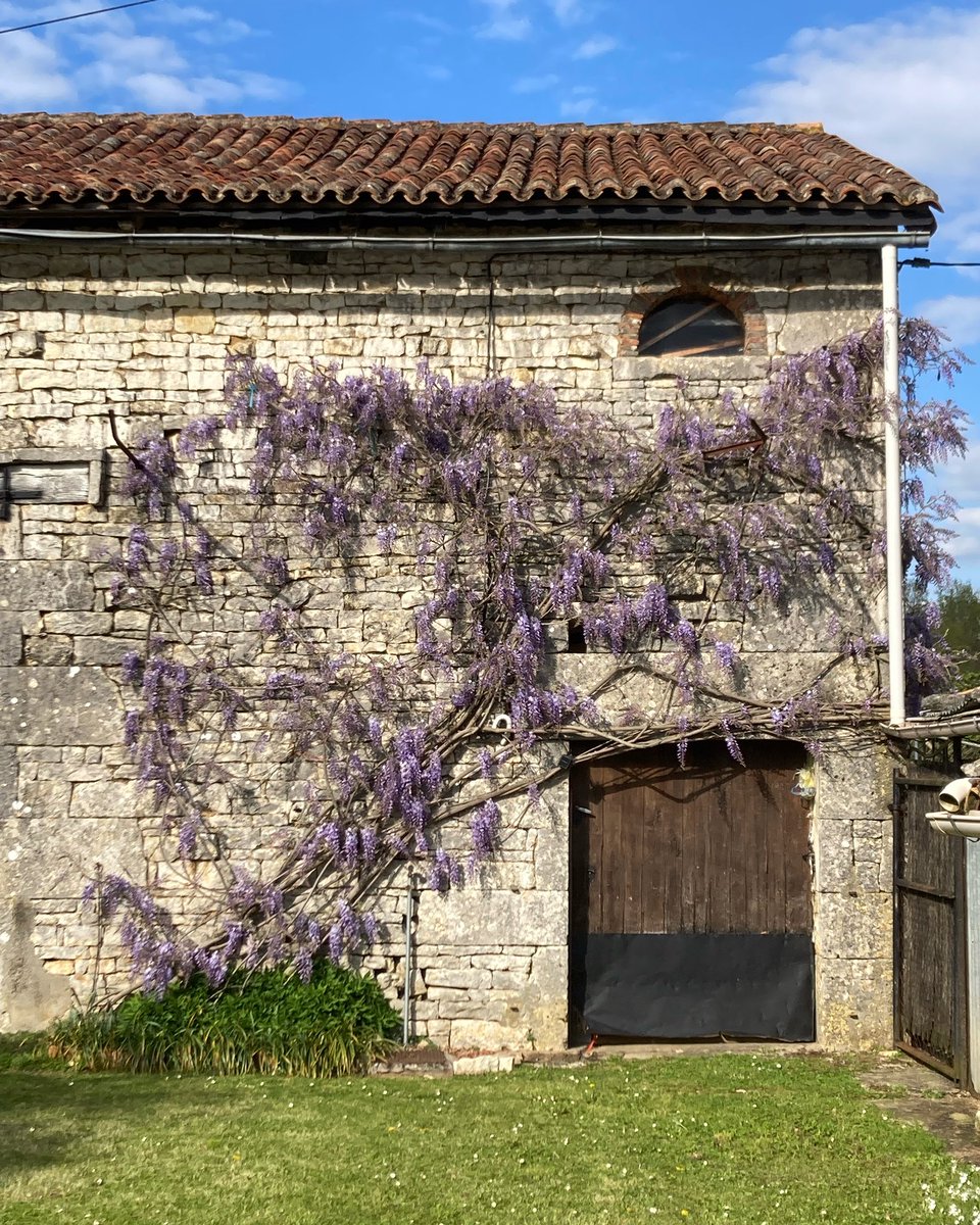 Charentais changing landscapes #charente #france