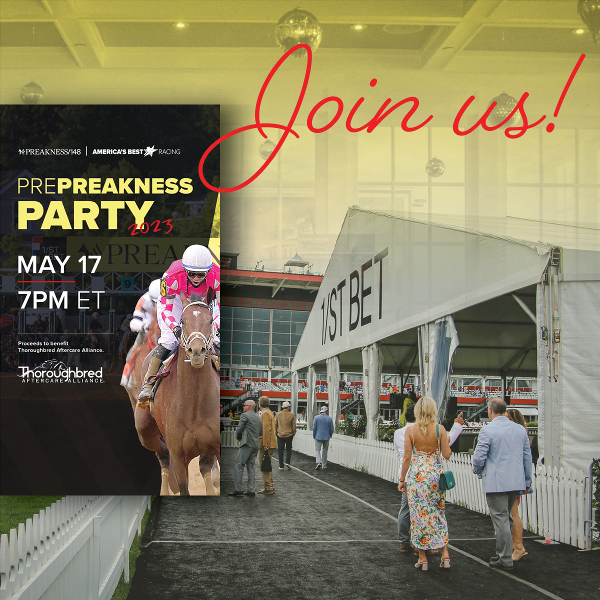 Thoroughbred Aftercare Alliance tweet media