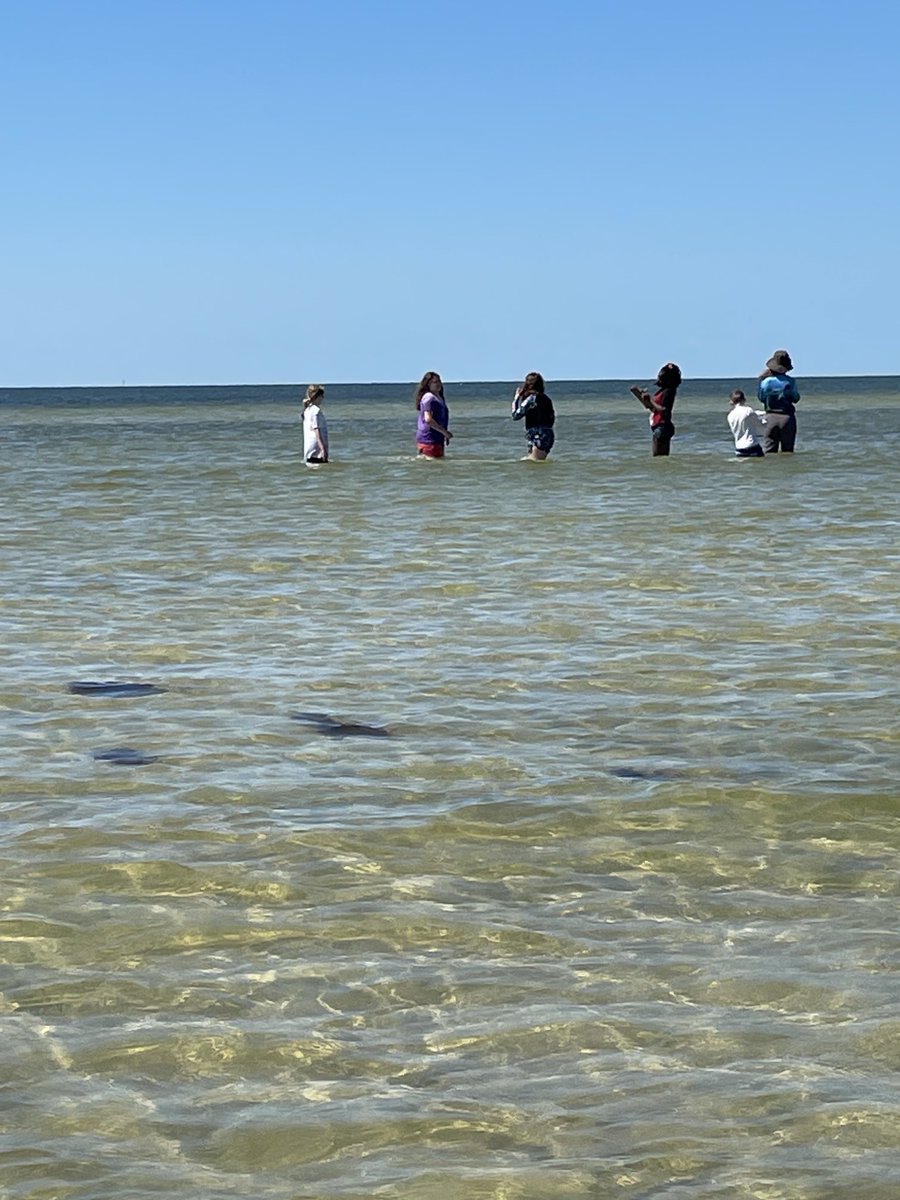 Exploring the beautiful web of life at Bunche Beach with Orangewood and EE!! Thank you Lee County for all the work to make this possible! #LeeSchoolsEE #LoveLeeSchools