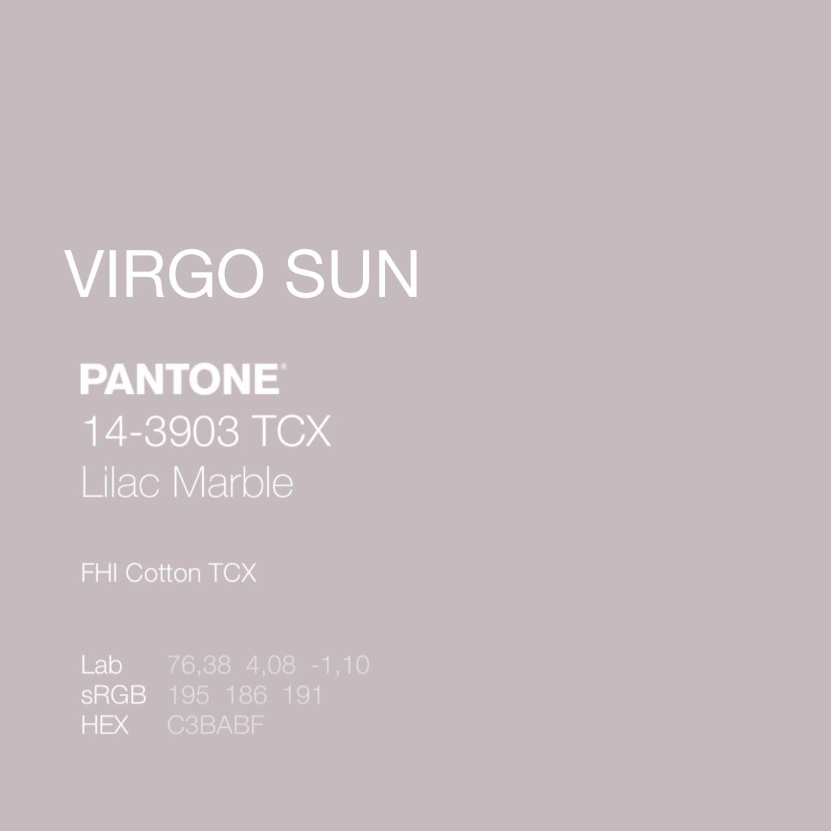 Erin Toth tweet media