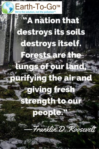 Earth2Go's tweet photo. #mindsetmatters #tuesdaymotivations #inspiring #BDFS #earthtogo https://t.co/ushFSDyqQt