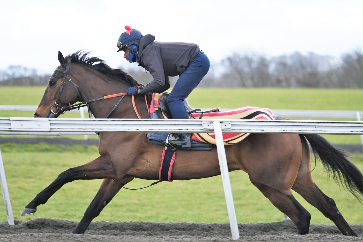 SimcockRacing's tweet photo. FORGE VALLEY LAD 🌟WINS🌟(6yo g Cityscape GB - Tamara GB) the 1m 4f Handicap @LingfieldPark under @JPSPENCER1980 for A M PICKERING & @SimcockRacing #AlBasti #AlBastiEquiworldDubai https://t.co/h4C3Z5ibWx