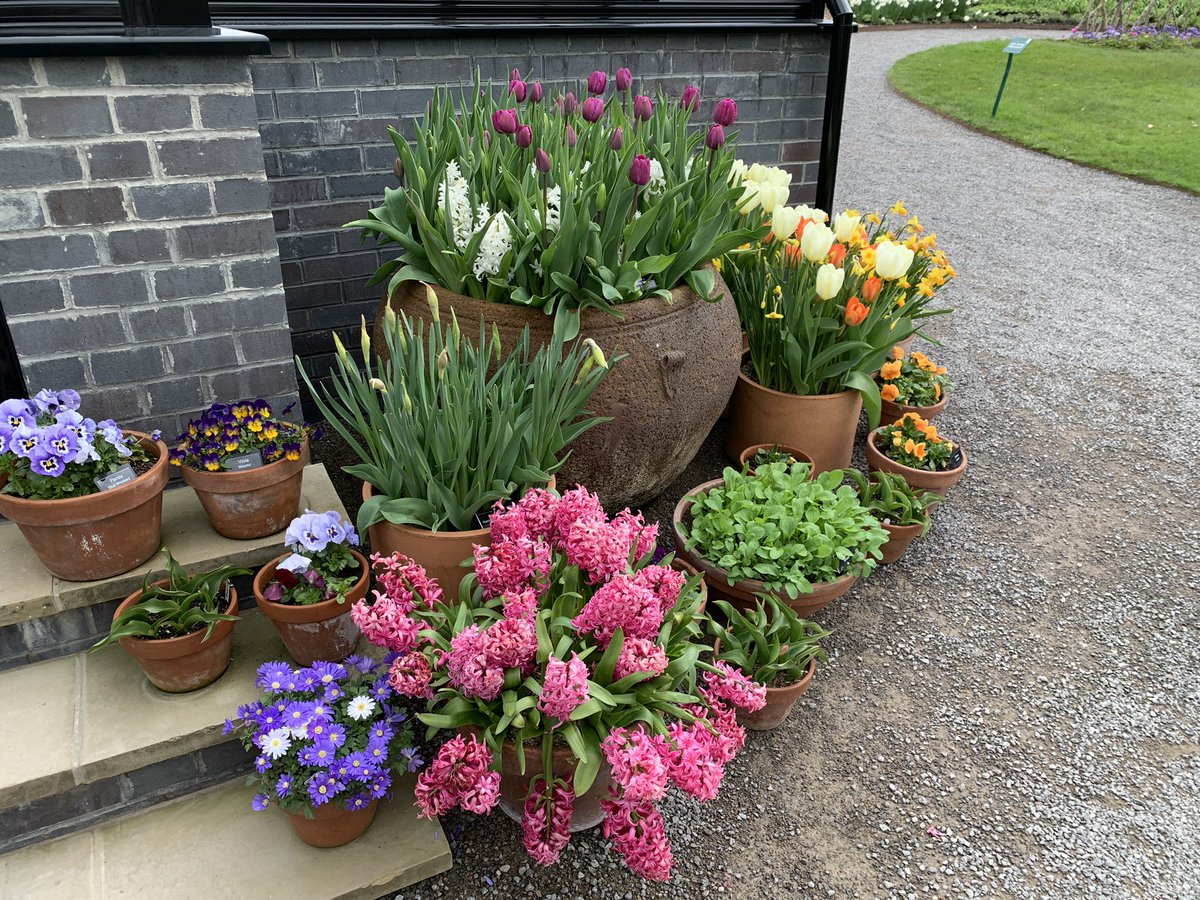 rhubarb2rhubarb's tweet image. How we love @RHSHarlowCarr at any time of year but especially when there are sights like this around each corner #beautifulSpring