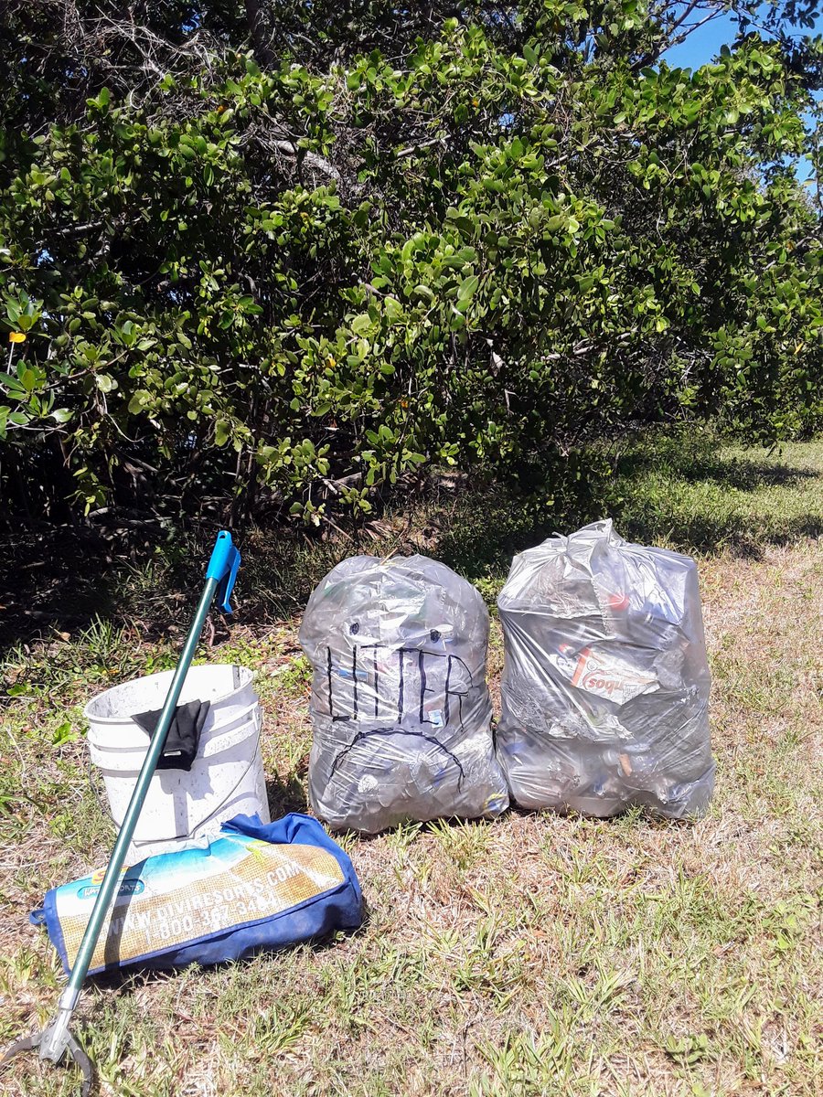 TJRPitt's tweet photo. A pair✌of #Earthcleanup🌎#Litter☹ bags today as I continue working my way down the Mangrove shoreline at #Clearwater Bay.
I'll never need to buy a Sharpie or a Pen ever again Thanks to Litterpicking😁 https://t.co/HxklmBq1H8