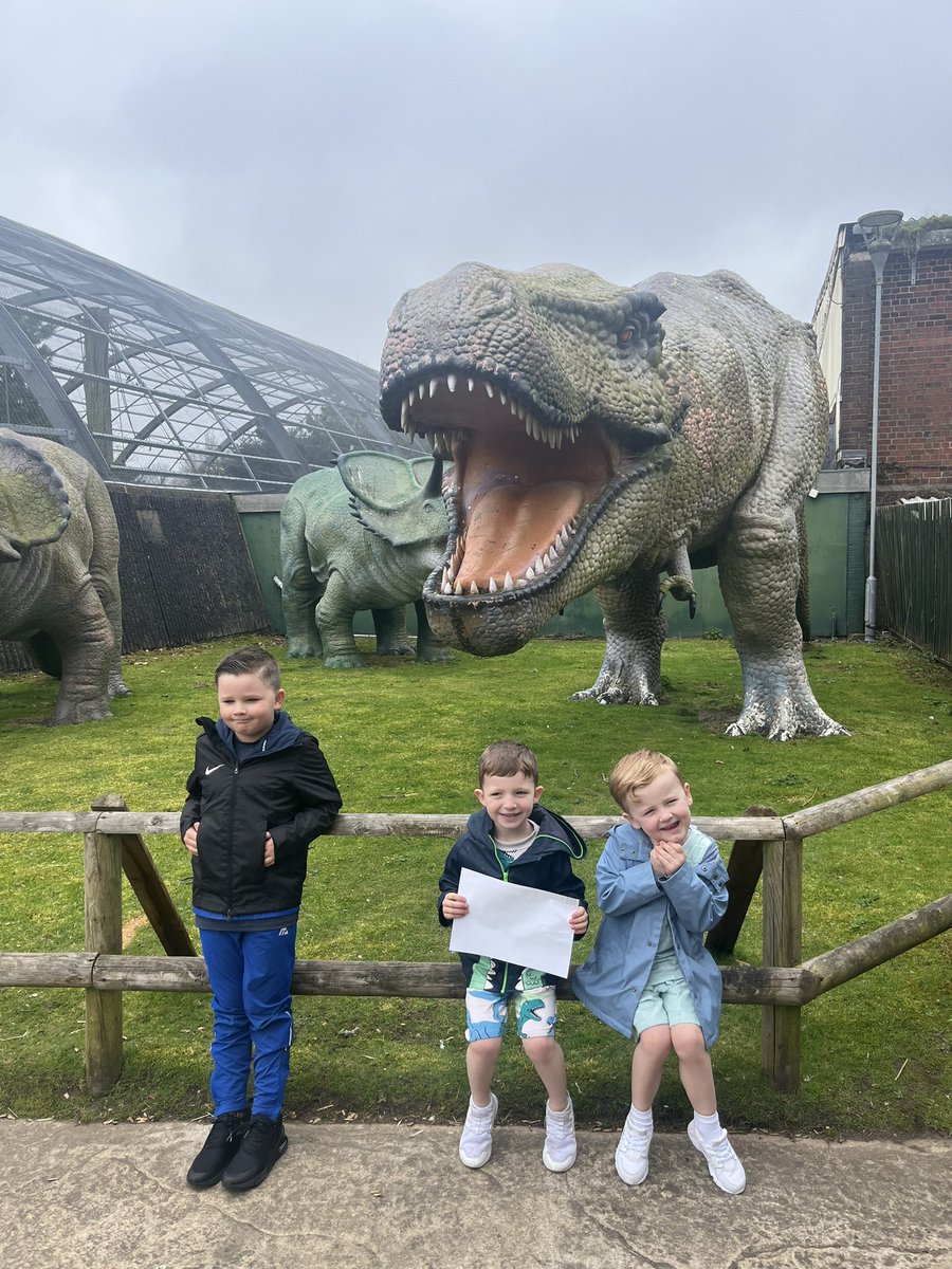 Nadine0786's tweet photo. @PCPSwans Woody had a restful break ending with a trip to Blackpool zoo with his family he loved every minute 🥰 https://t.co/9Od09hN00D