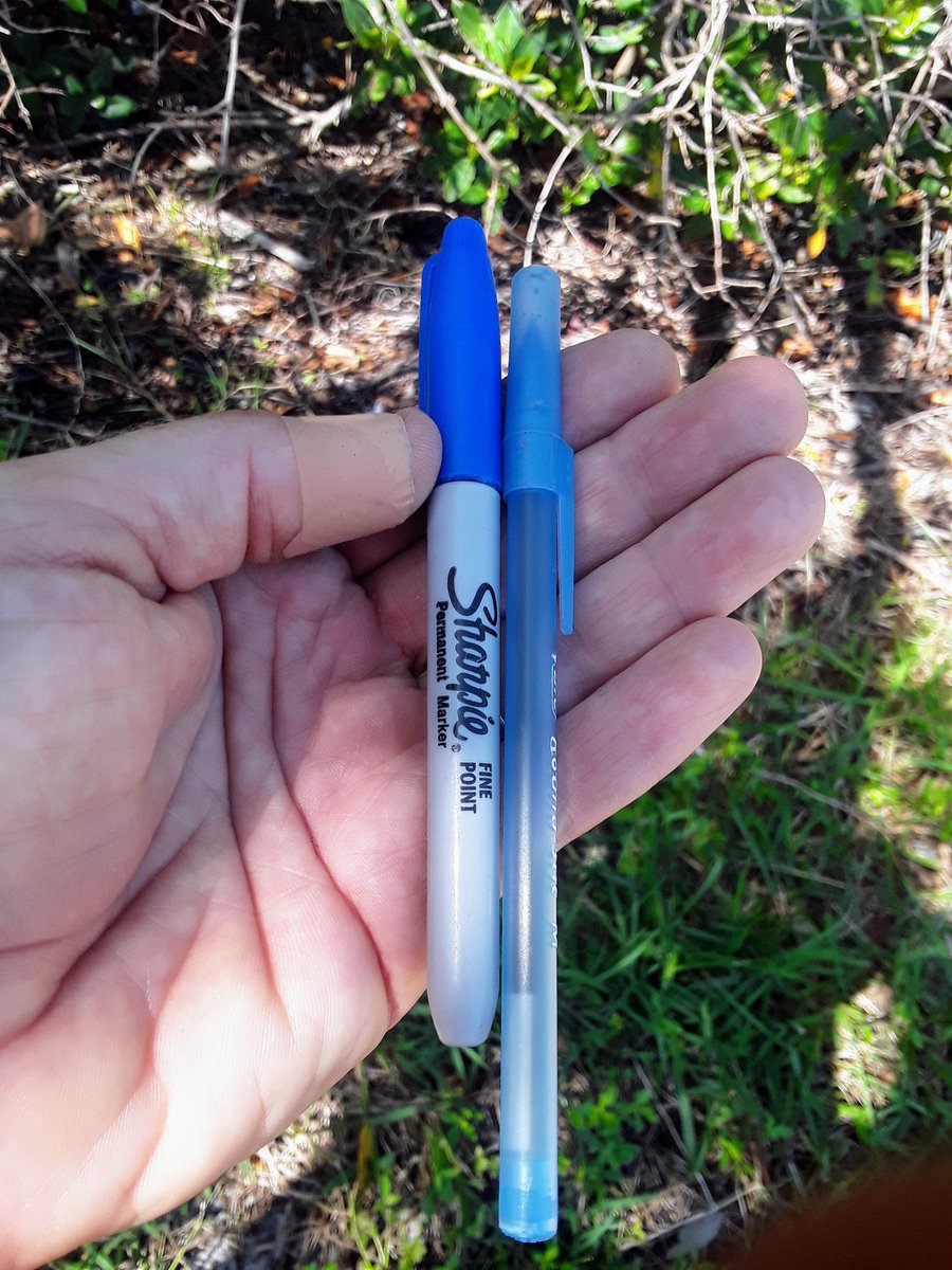 TJRPitt's tweet photo. A pair✌of #Earthcleanup🌎#Litter☹ bags today as I continue working my way down the Mangrove shoreline at #Clearwater Bay.
I'll never need to buy a Sharpie or a Pen ever again Thanks to Litterpicking😁 https://t.co/HxklmBq1H8