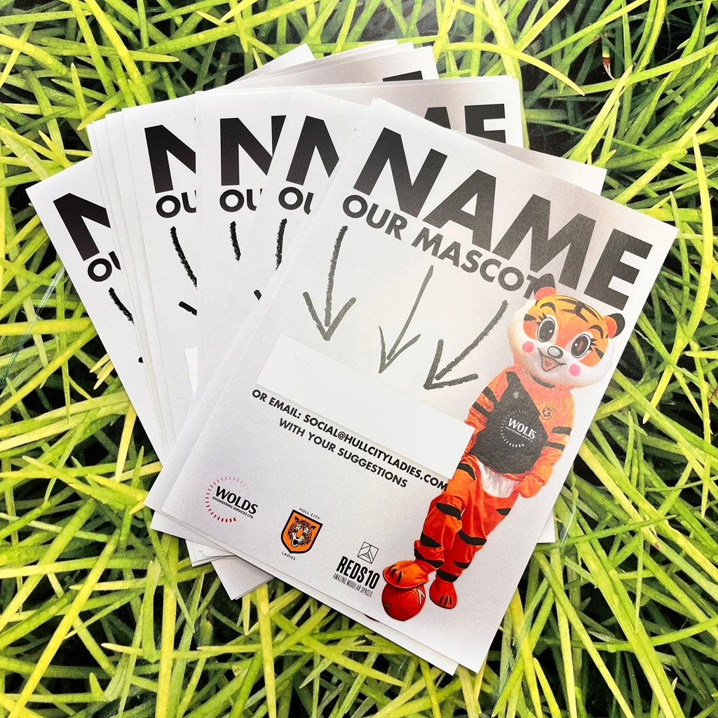ScribesDigital's tweet photo. Leaflets for our friends at Hull City Ladies 🐯 We love working with local businesses to promote their upcoming events! https://t.co/ZGVbVmKdva
#scribesdigital #scribes #hull #kingstonuponhull #print #printing #hullcityladies #leaflets #flyers #advertising #promotion https://t.co/gl239S2uc5