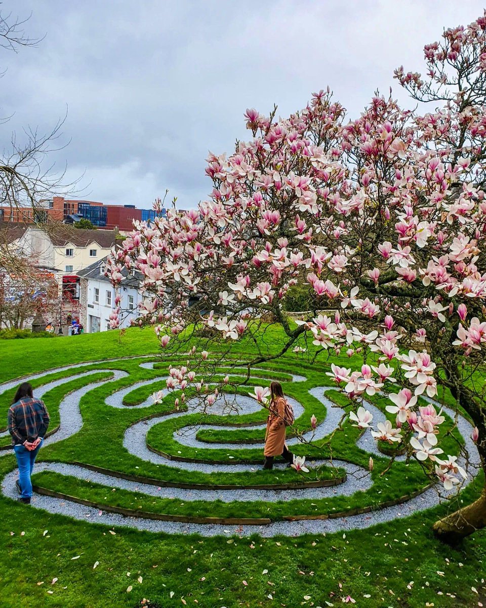 CorkDaily's tweet photo. Beautiful photo from Labyrinth in Saint Fin Barre's Cathedral ๐จ๐ฎโค๏ธ๐ค
.
๐ธ๐ IG:kishorekmr65 ๐โ๏ธ๐ #cork_daily #photooftheday #corkcity #purecork #carhedral #spring #irish_daily #cork https://t.co/LRT7B2rPkj