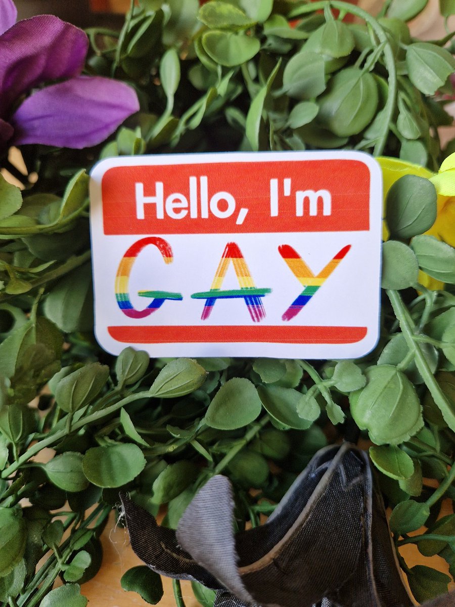 Ghostly___Void's tweet photo. This sticker now on my Etsy! 

#gay #sticker #pride #jokes #introducetion #pride #LGBTQIA #LGBT #SmallBusinesses #smallartist #digitalarr #art #etsy #smallshop https://t.co/oSM4B1XKT1