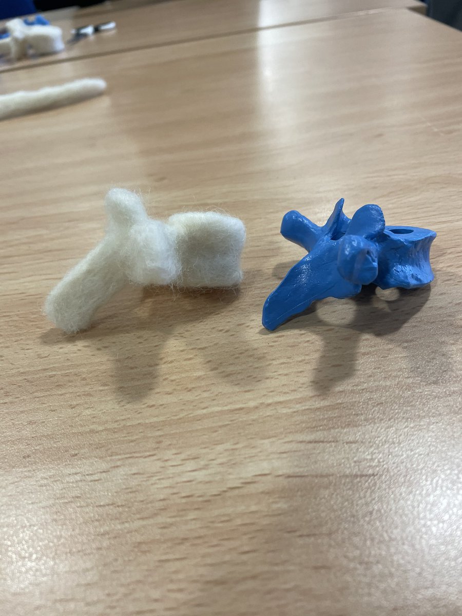 Dr Claire Fitton tweet media