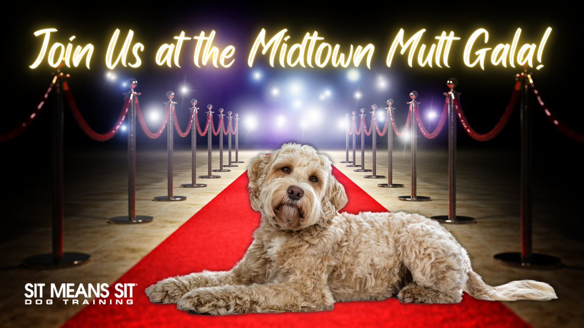 AtlDogTrainer tweet picture