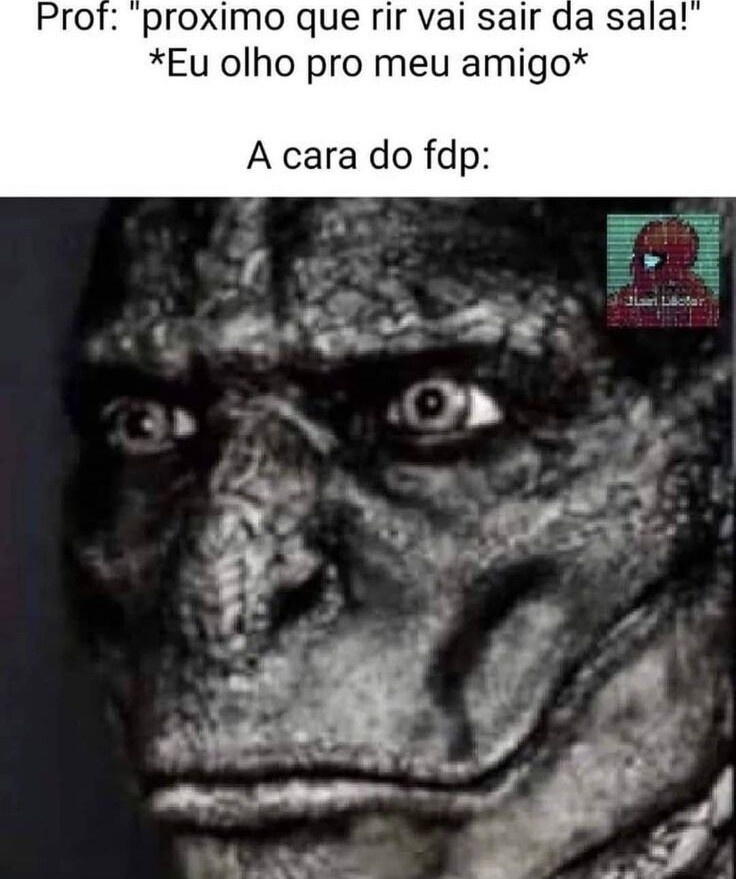 shitpostverdade's tweet photo. https://t.co/fQ2KUL8txa