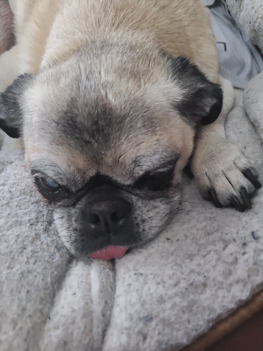 🦉Dnt_H8_Celebr8 🦉 (Blue Check Mark) tweet media