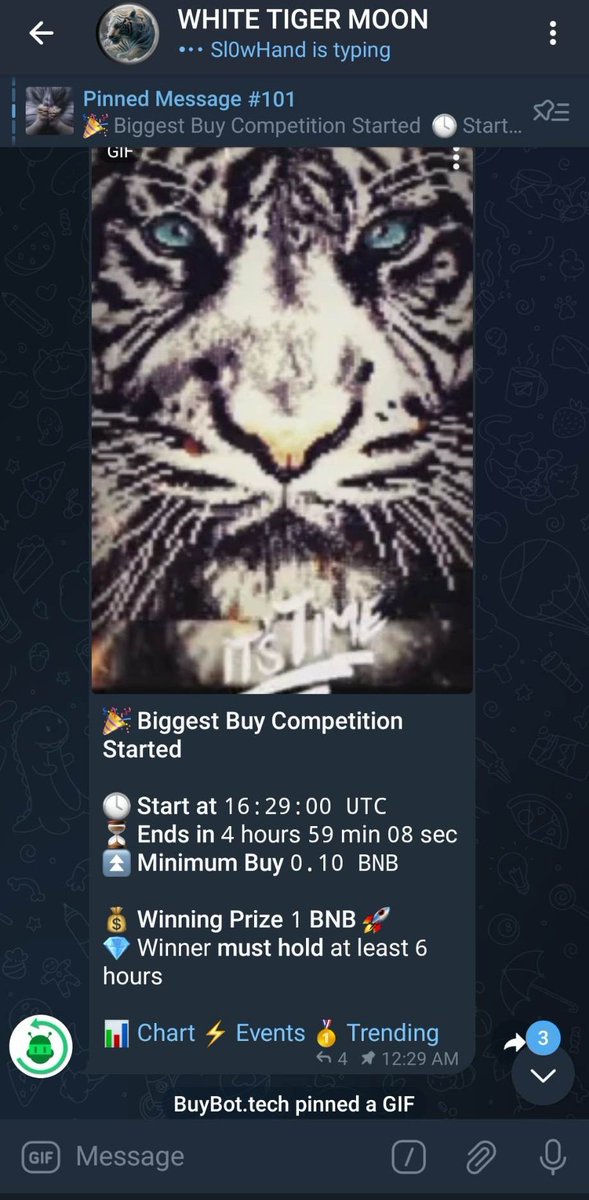 WHITE TIGER MOON (@white_tigermoon) / Posts / X