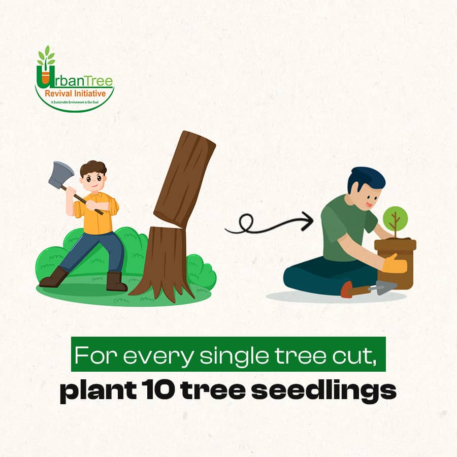TreeRevivalTeam's tweet photo. Imagine a world where every tree cut down is replaced by 10 new ones. Nature has given us so much. It's up to us to protect our planet's forests.
_____
Let's work together to ensure a greener future. A small action can make a big impact.
‘
#TreeRevivalFacts #conservation https://t.co/SzevDrv3SX