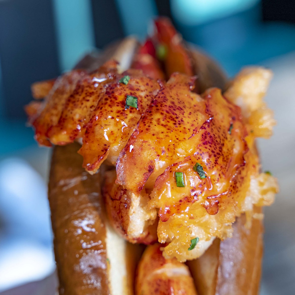 So long, #TaxDay2023! Now that all that's behind you, it's time to indulge in a delicious lobster din din. Who could say no to this roll? 🦞 #SeawolfBK

#Seafoodies #seafoodies #lobster #lobsta #lobsterroll #lobsterrolls #lobstalover #lobsterlovers #lobsterlover #TaxDay