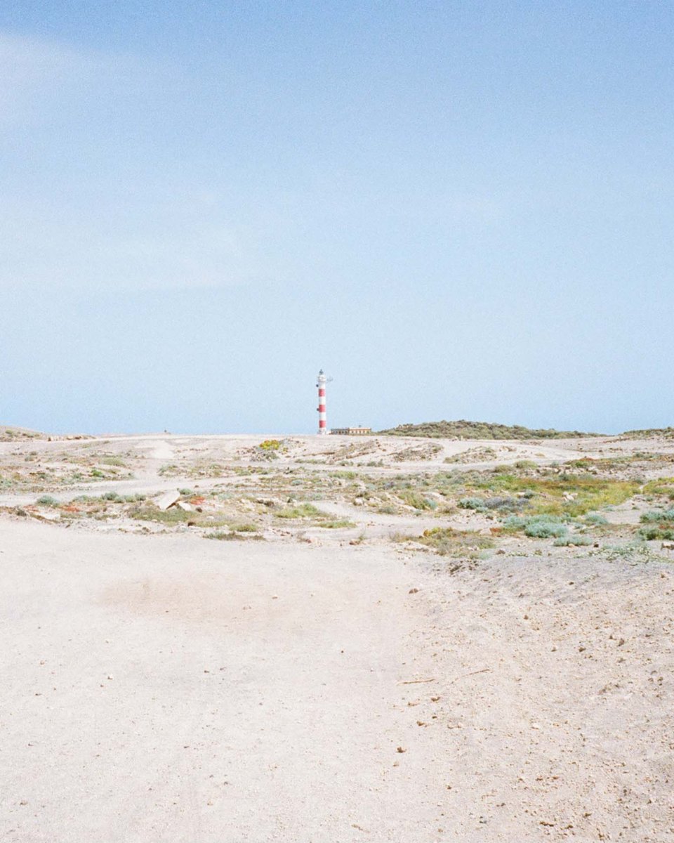 eclectachrome's tweet photo. Expired Kodak Gold holding up well! I overexposed this by one stop but don't think I needed to...

📍 Tenerife
📷 Fujica Half 35mm camera

#35mm #buyfilmnotmegapixels #beginningfilm #analog #analogphotography #analoguevibes #onfilm #sharefilm #tenerifeonfilm #fujicahalf https://t.co/V4649wWpqr