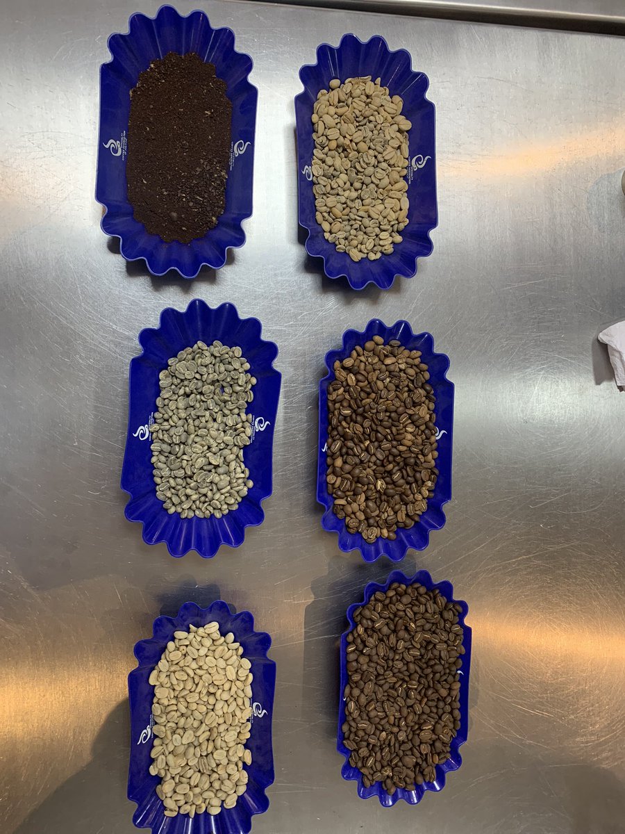 CARLOS CESAR SILVA tweet media