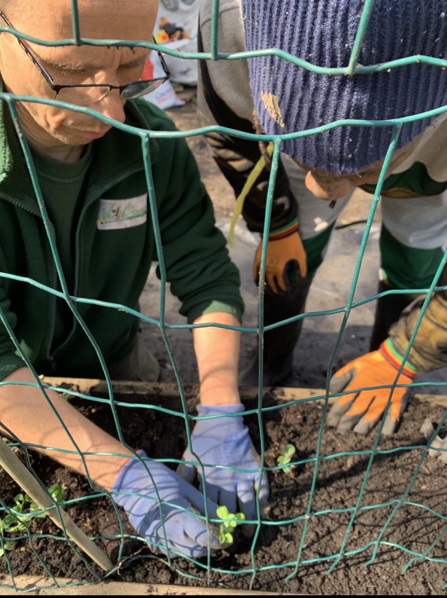 LPTarts's tweet photo. Another brilliant Green Room Gardeners down Queens Road Allotment this morning - from planting peas to penning poems. Want to know more? See the below flyer for how to get in touch 💚 🌞👇 https://t.co/nEquYOhm0v