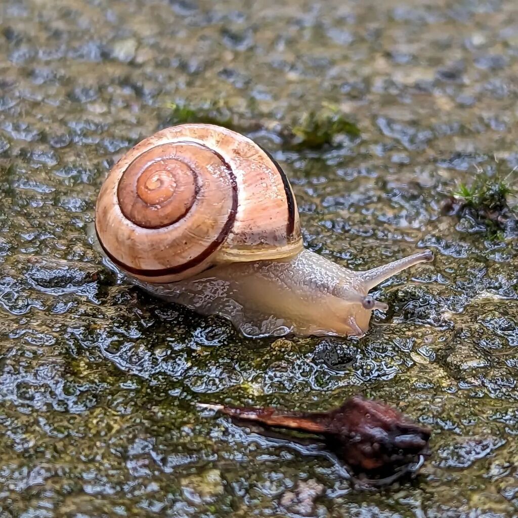 BaslerMeitli's tweet photo. Mach den Regenschirm erst auf wenn es regnet

#bepositive #amwegrandgefunden #achtsamkeitsübungenimalltag #achtsamkeitimalltag #teampixel #haltedieaugenoffen https://t.co/l8QJrD4gAb https://t.co/PTOKo4fZrc