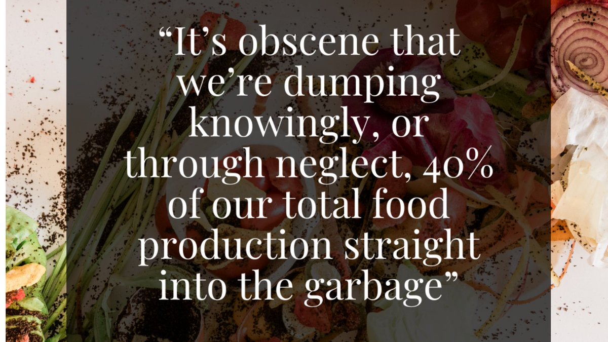 budgeatapp's tweet photo. Quote by Anthony Bourdain.

Click our link in bio and don’ t miss out on your opportunity to #wagewaronwaste

#Foodwaste #SustainableEating #Followbudgeat #Becomemindful #Choosewhatsbest #Leftoverlove #Mealplanning #Eatwellspendless #Mealprepping #Dontwastenofood #Treasurefood https://t.co/eJtj033g8P