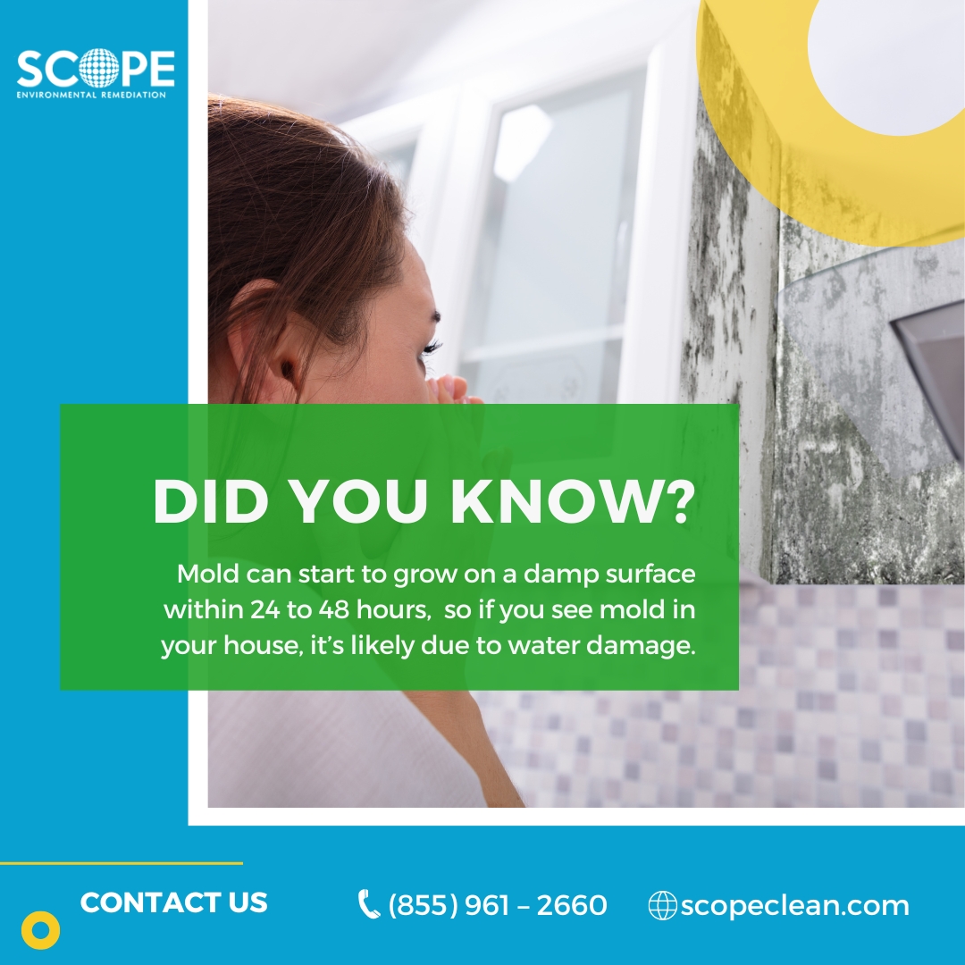 clean_scope's tweet photo. If you have a problem with water damage, don’t waste another moment and contact us!
📞(855) 961 – 2660
🌐https://t.co/COk0DnC6y0

#waterdamage #mold #moldremediation #restoration #waterdamagerestoration #moldremoval #flooddamage #propertydamage #molddamage #stormdamage https://t.co/eRrxwbqHfB