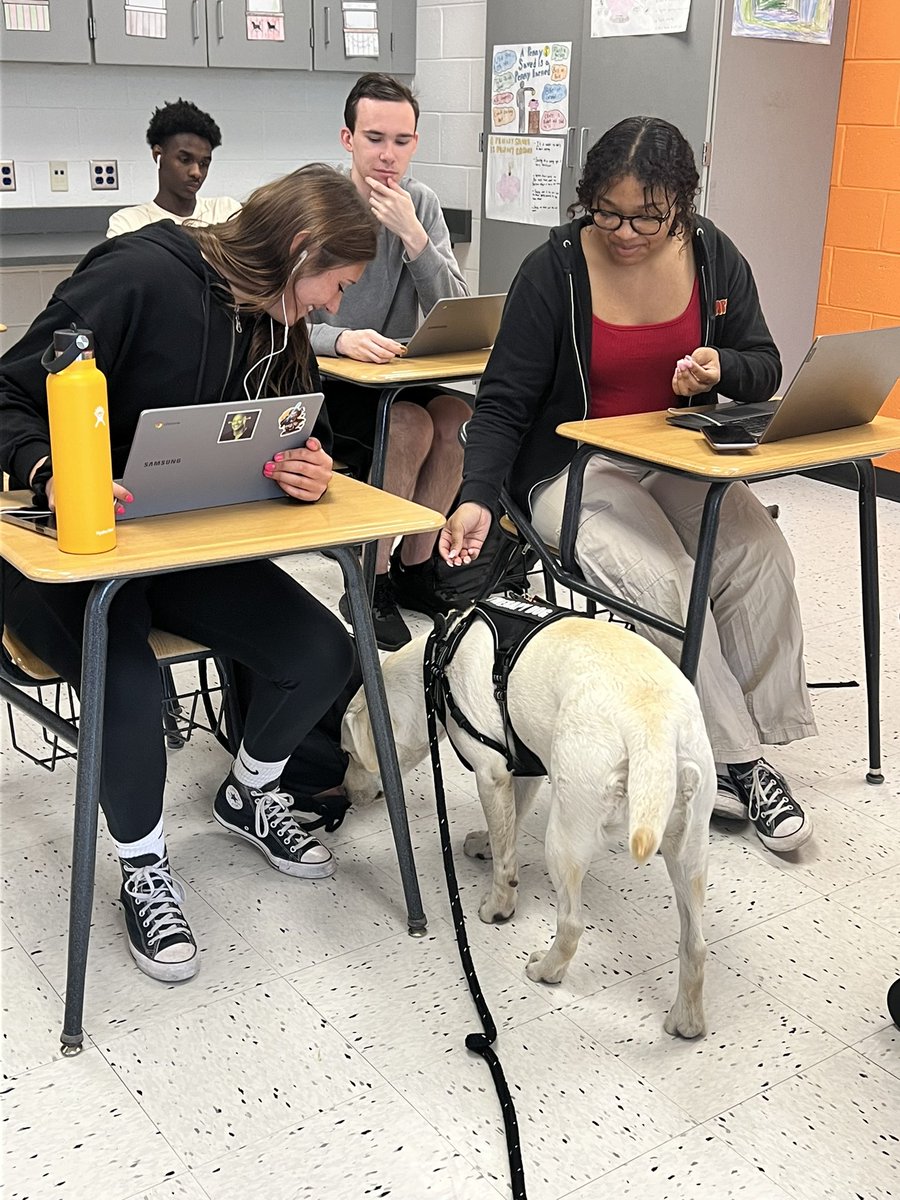 Patent laws and therapy dogs! 
#therapydogs
#barnegatINSPIRES
#ONEBarnegat
#BHS