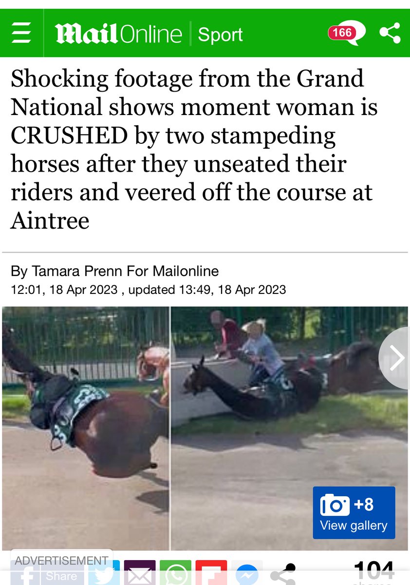 Emlou80's tweet photo. Oh no people only injured! The owners, trainers, spectators and anyone who put a bet on that race are responsible for the deaths of those horses. It’s a pity the same number of jockeys weren’t killed. Would people still enjoy it and think it’s acceptable then? #GrandNational2023 https://t.co/sg0P4fz3Ug