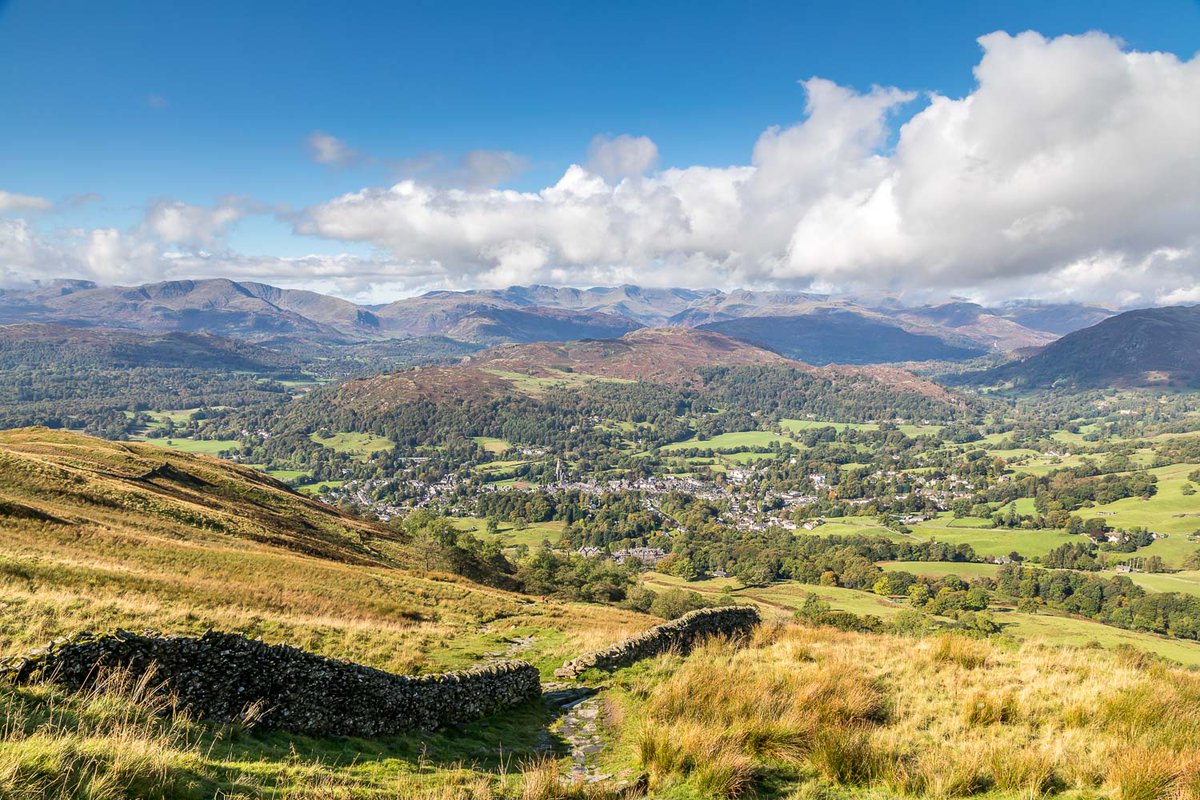 Stephanie Brooke on Twitter "RT andrewswalks 28 in a selection of