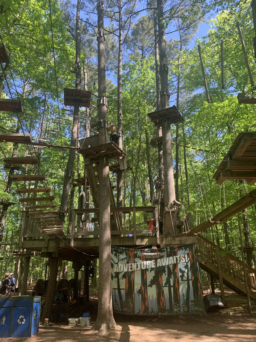 TeachlifeVB's tweet photo. It’s a beautiful day to spend in the trees! @KellamHigh HPE 9 kids are having a blast @AdventureParkVB https://t.co/qDyq9Nxpnh
