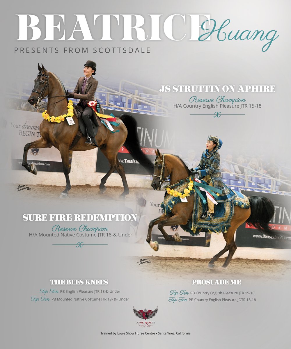 NH_Arabian's tweet photo. #nationalhorsemanarabian #scottsdale #beatricehuang #loweshowhorsecentre #countryenglishpleasure #nativecostume #englishpleasure #arabianhorse https://t.co/QMIdc8iqO6