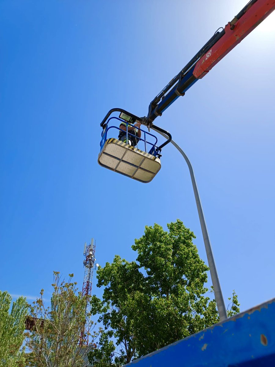 Aurora Suárez tweet media